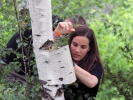 Dominique Fournier in Unesco ICH website