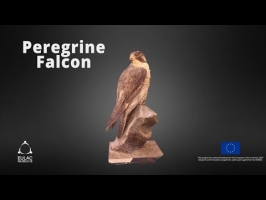 EU-LAC-Museums