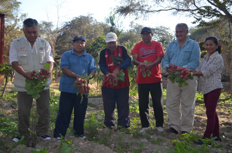 TALLER DE HORTICULTURA ORGÁNICA -SICÁN
ORGANIC HORTICULTURE WORKSHOP - SICÁN