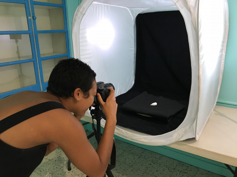3D Photogrammetry Workshop with Brown University Students at the Barbados Museum 