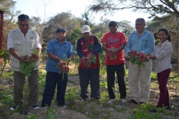 
TALLER DE HORTICULTURA ORG&Aacute;NICA -SIC&Aacute;N
ORGANIC HORTICULTURE WORKSHOP - SIC&Aacute;N
